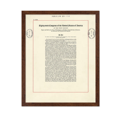 Voting Rights Act 1965