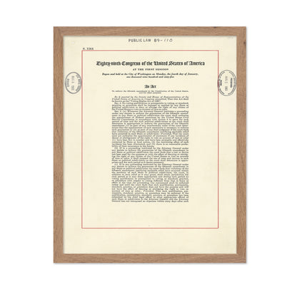 Voting Rights Act 1965
