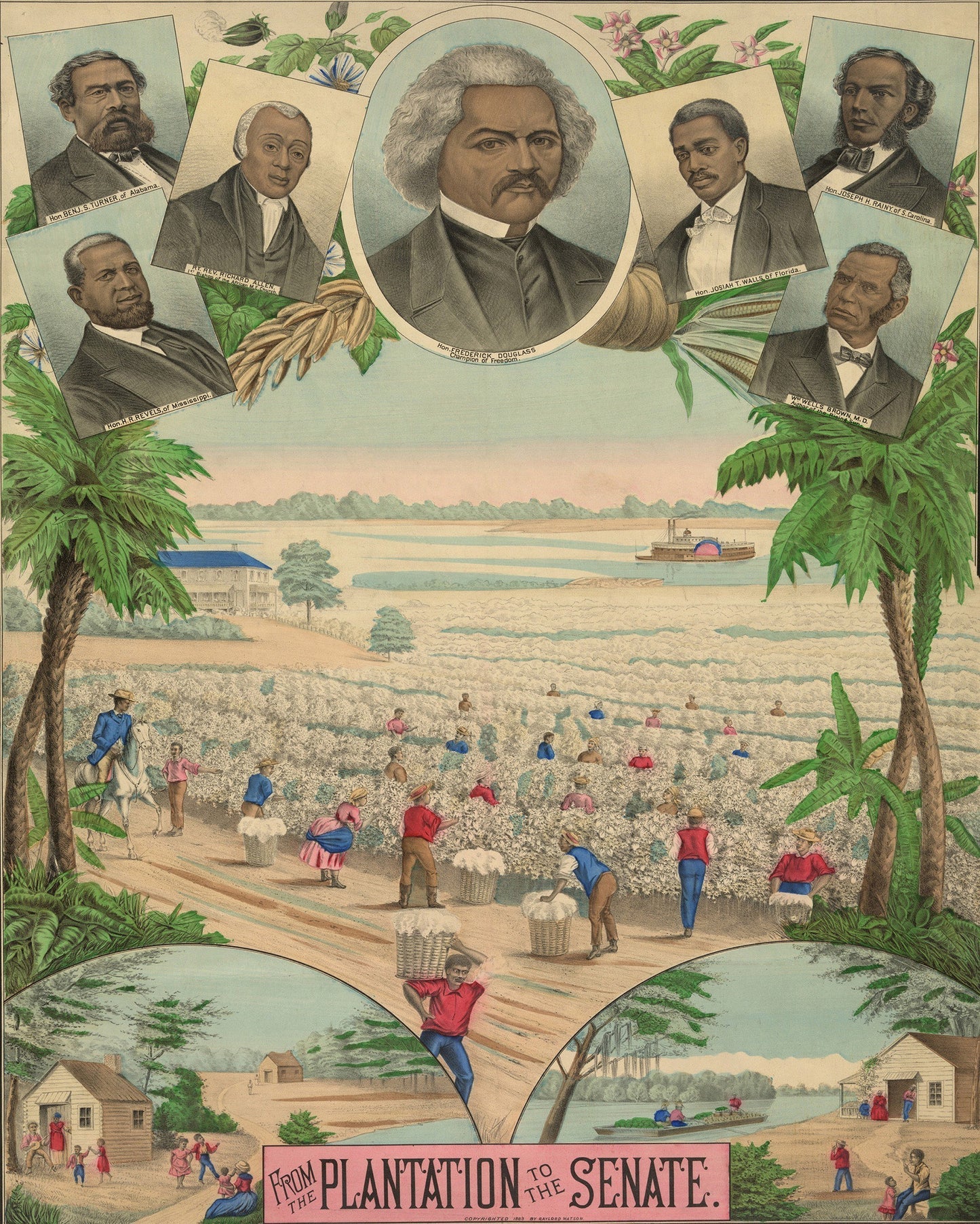 Plantation Senate 1883