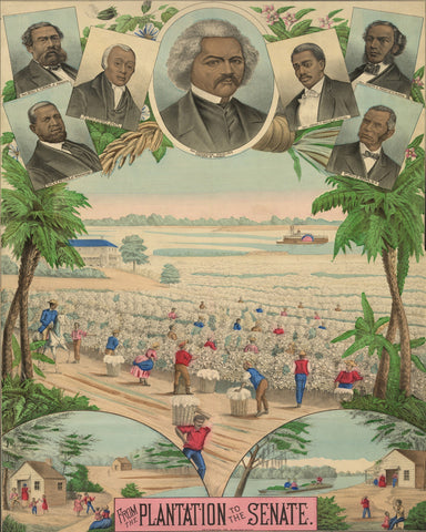 Plantation Senate 1883