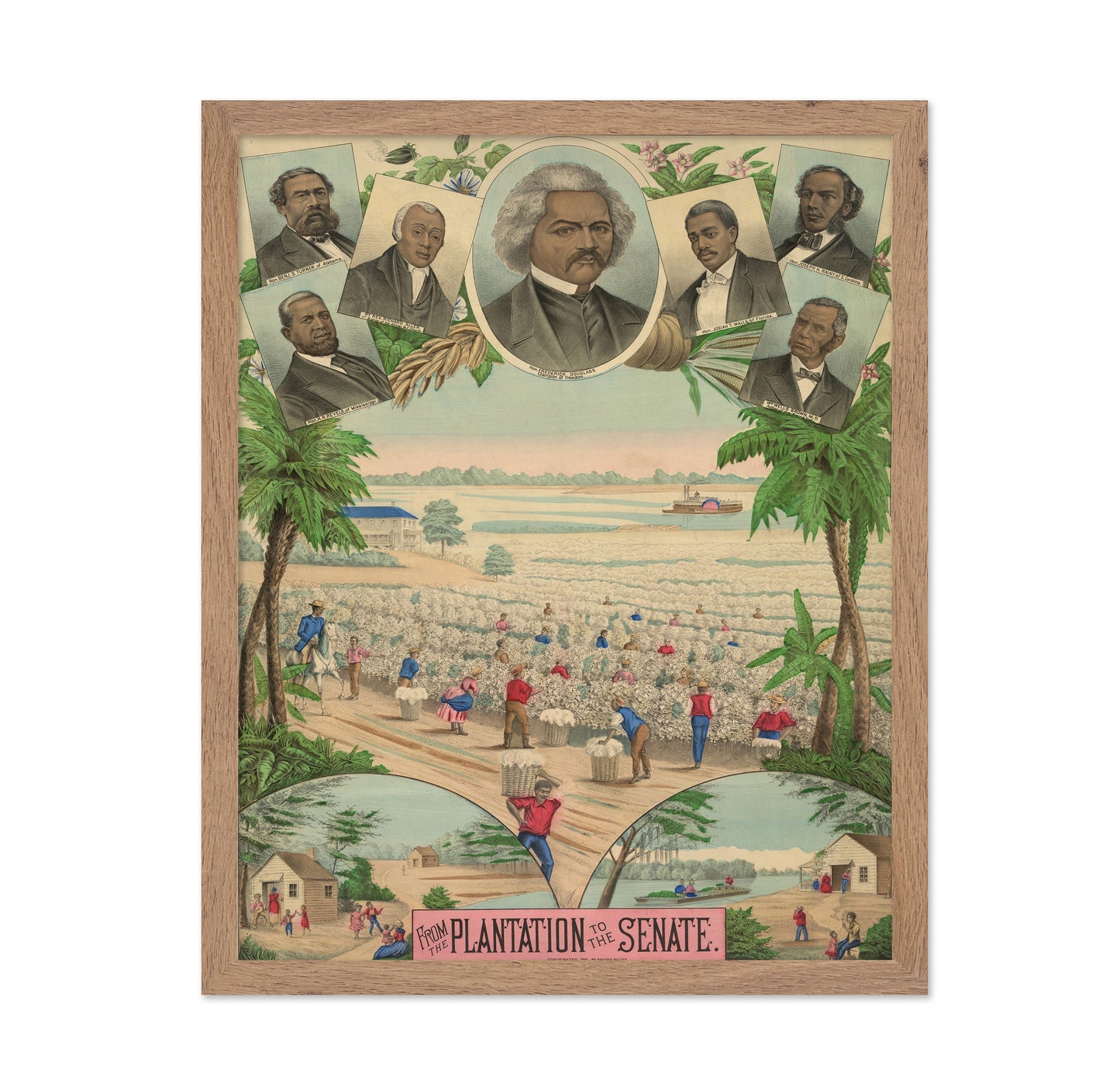 Plantation Senate 1883