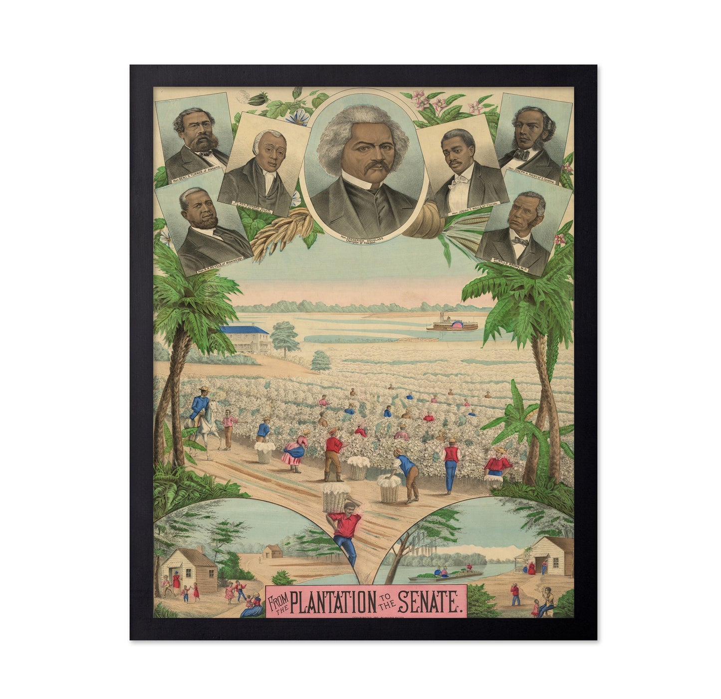 Plantation Senate 1883