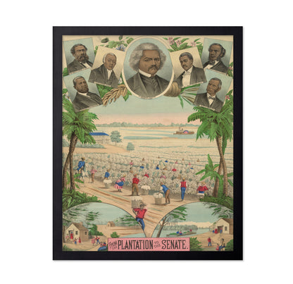 Plantation Senate 1883