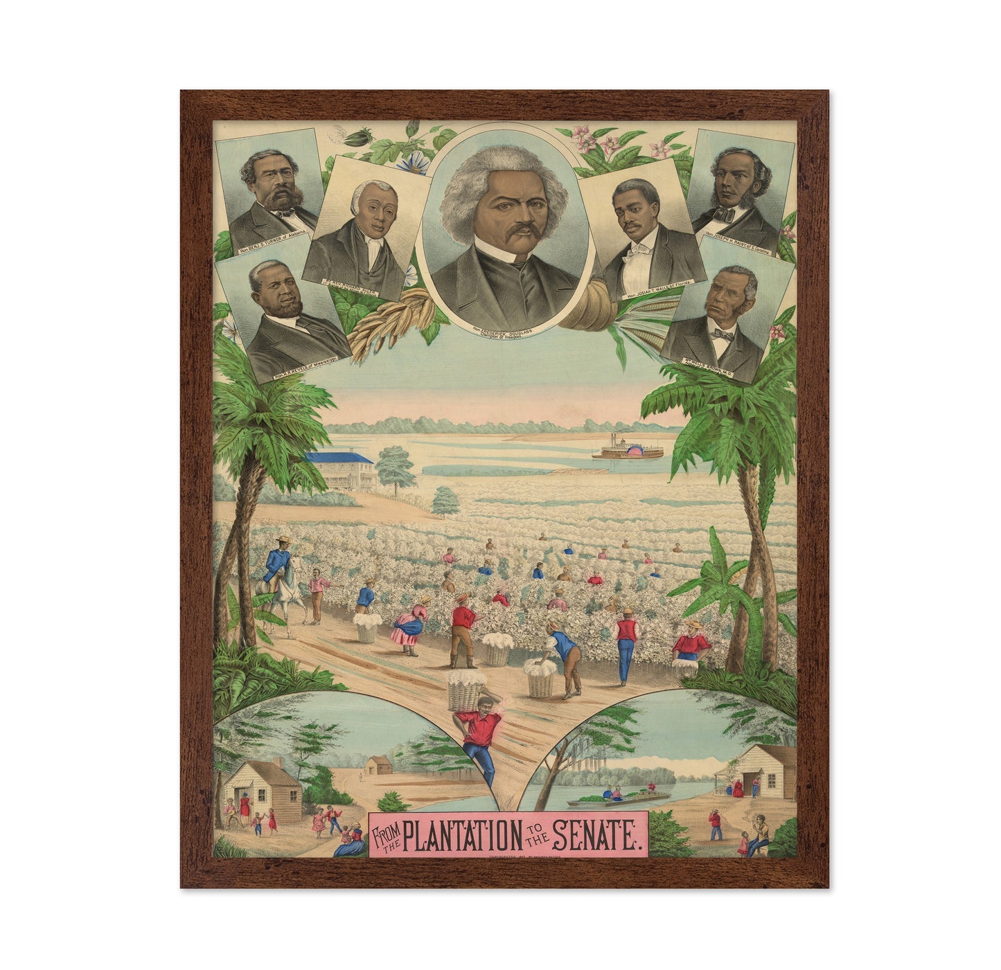 Plantation Senate 1883