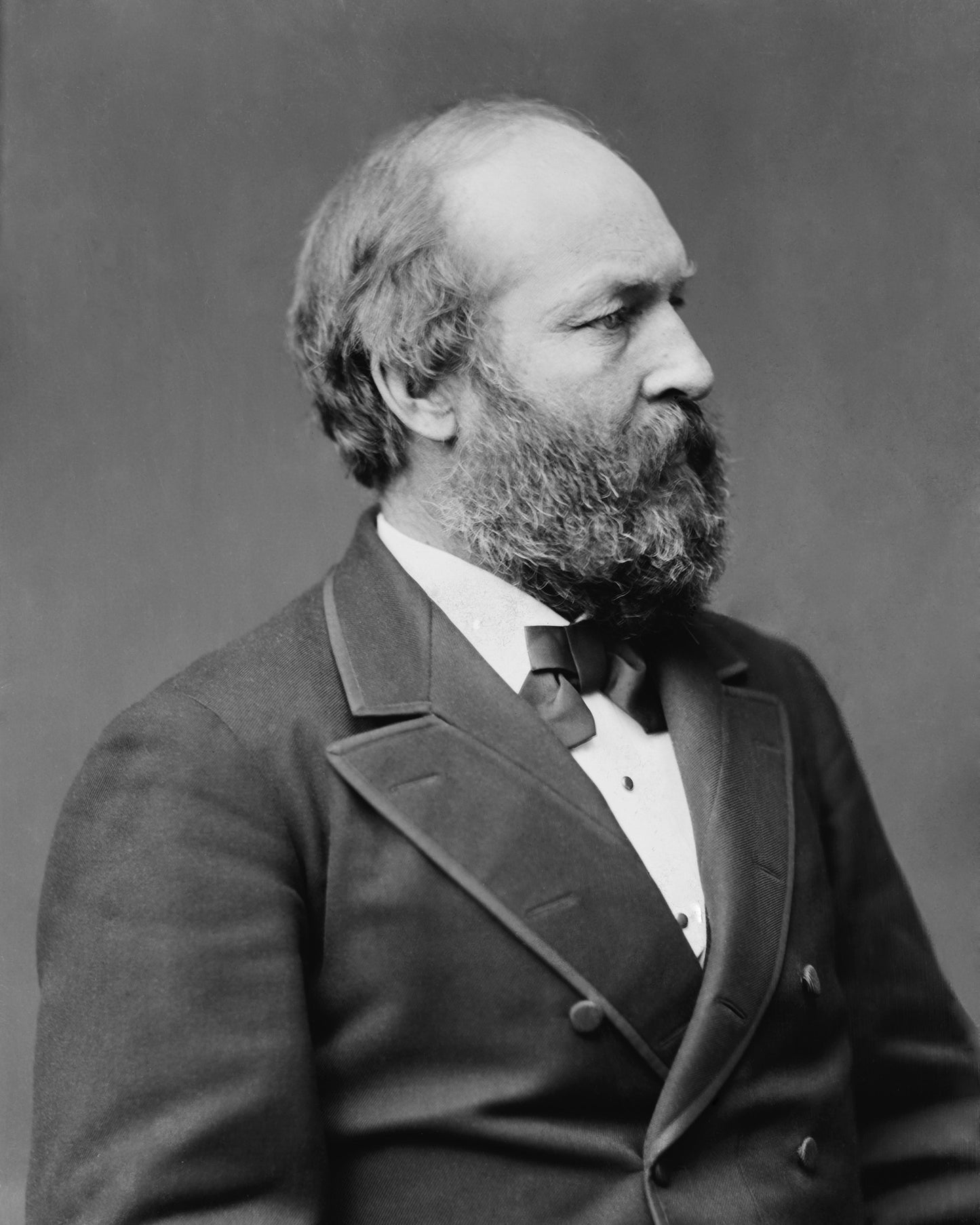 Garfield 1881