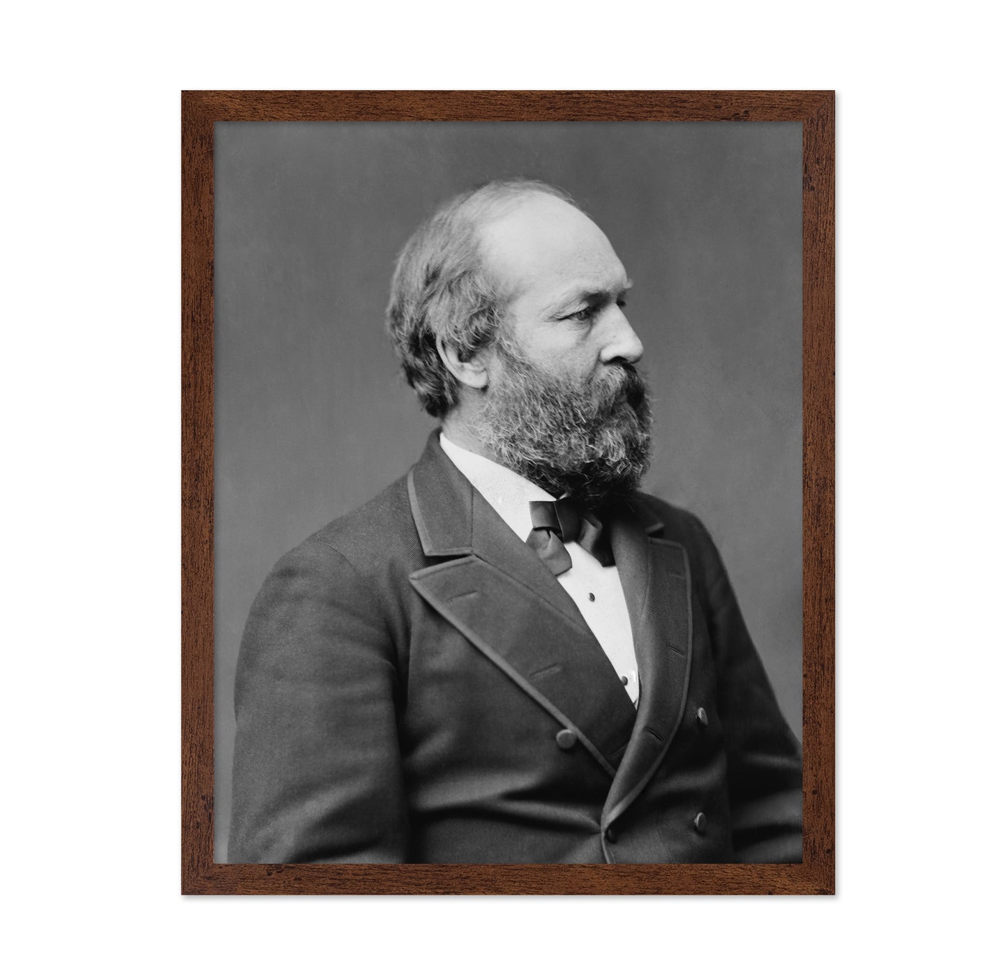 Garfield 1881