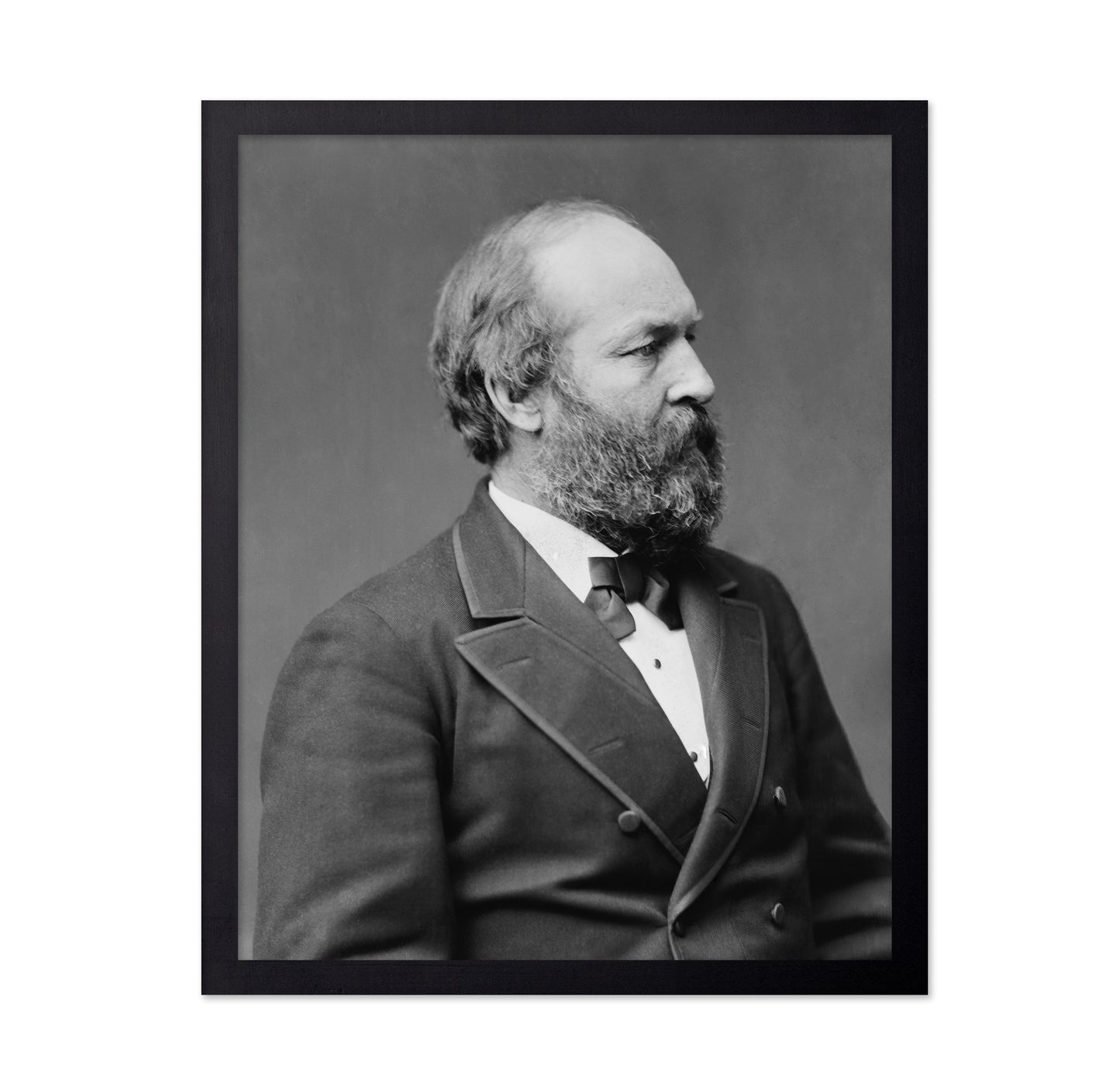 Garfield 1881