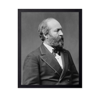 Garfield 1881