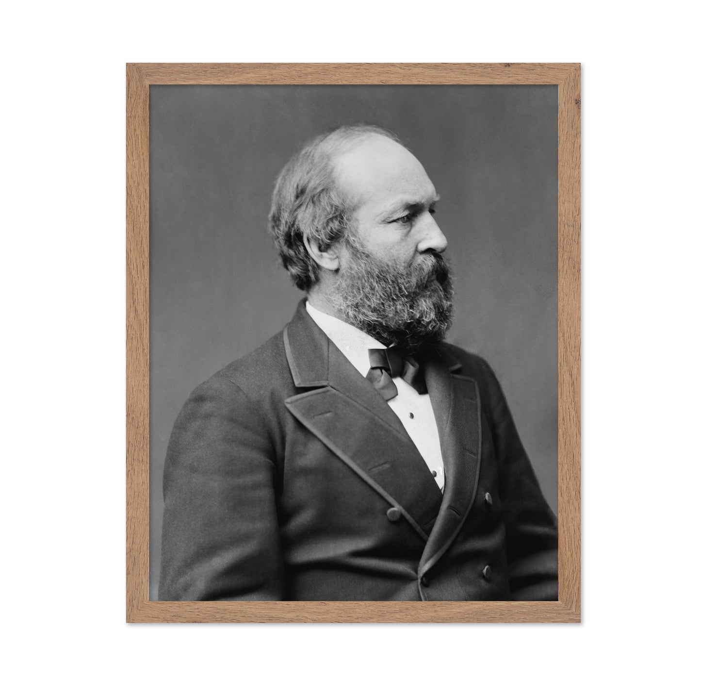 Garfield 1881