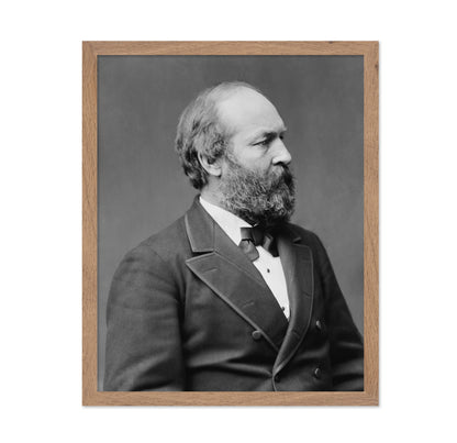 Garfield 1881