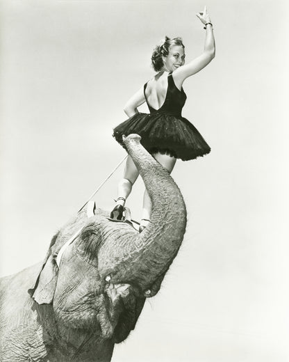 Circus Elephant 1930s