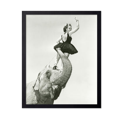Circus Elephant 1930s