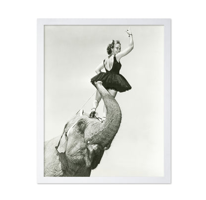 Circus Elephant 1930s