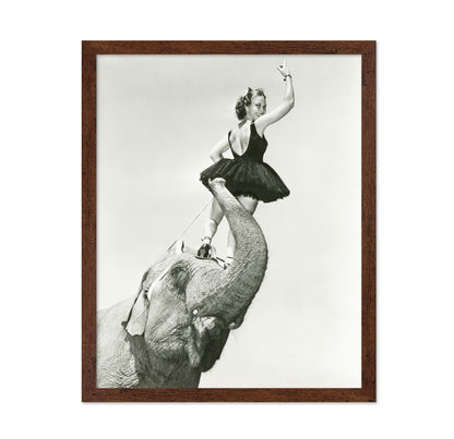 Circus Elephant 1930s