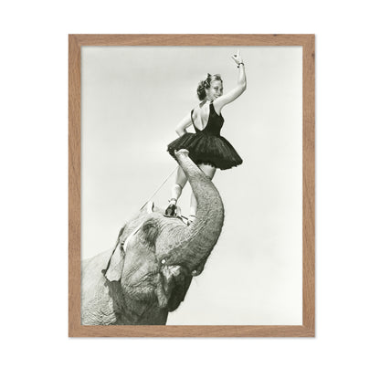 Circus Elephant 1930s