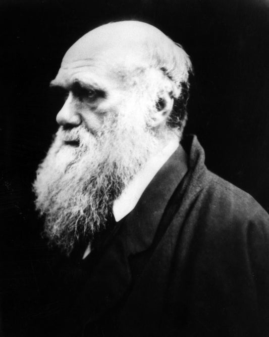 Charles Darwin 1880