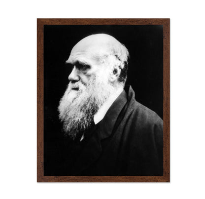 Charles Darwin 1880