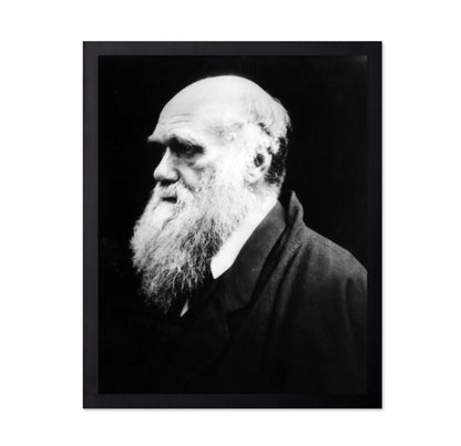 Charles Darwin 1880