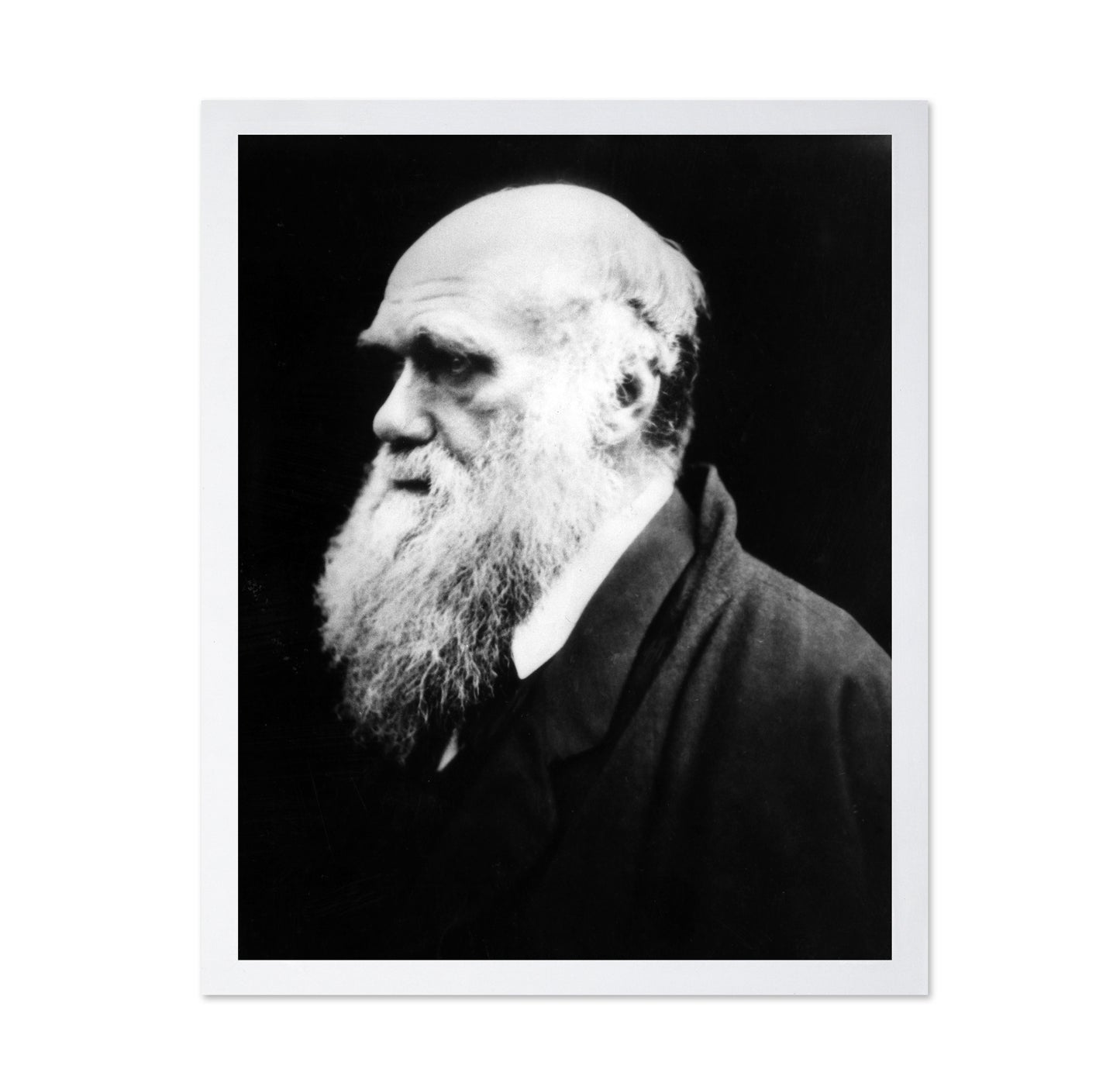 Charles Darwin 1880