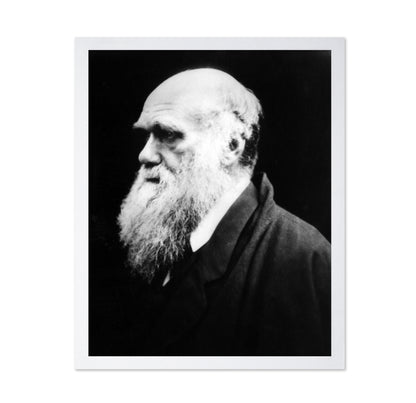 Charles Darwin 1880