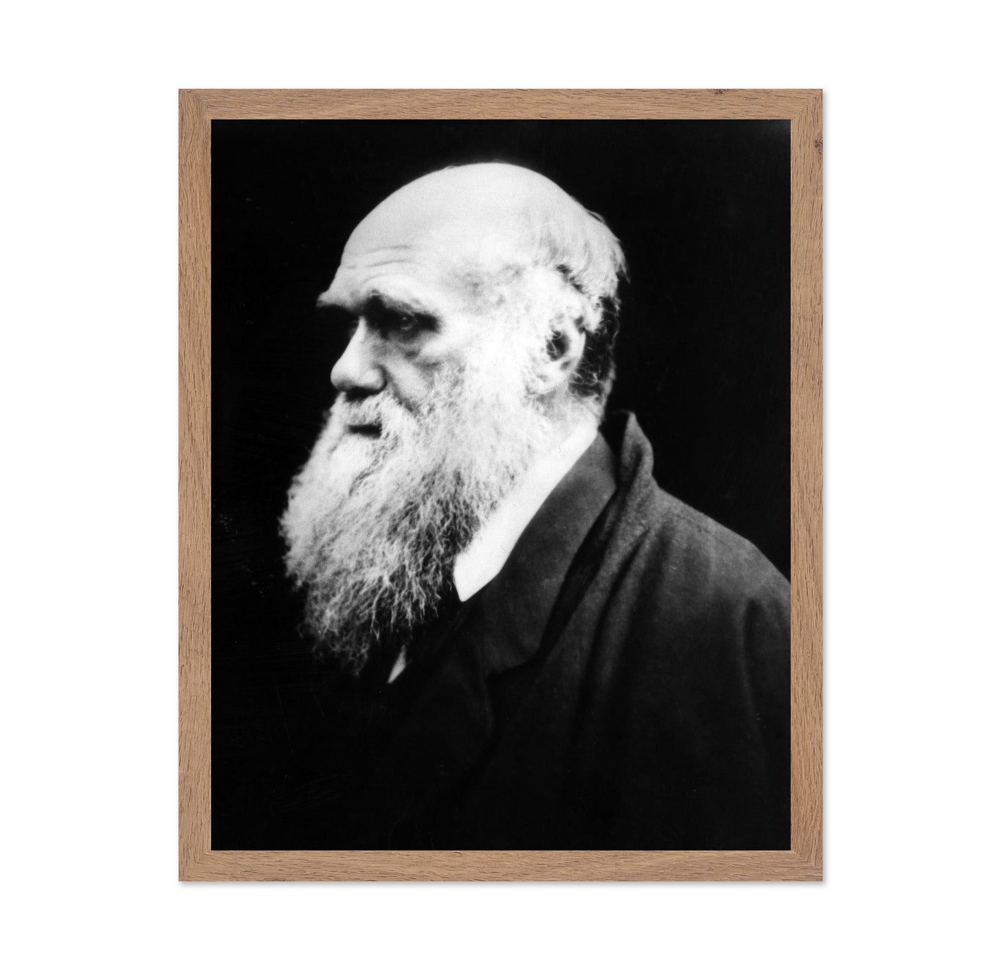 Charles Darwin 1880