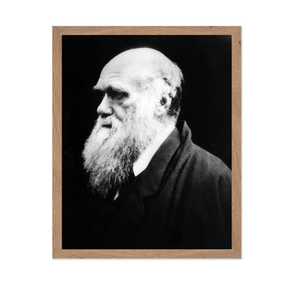 Charles Darwin 1880