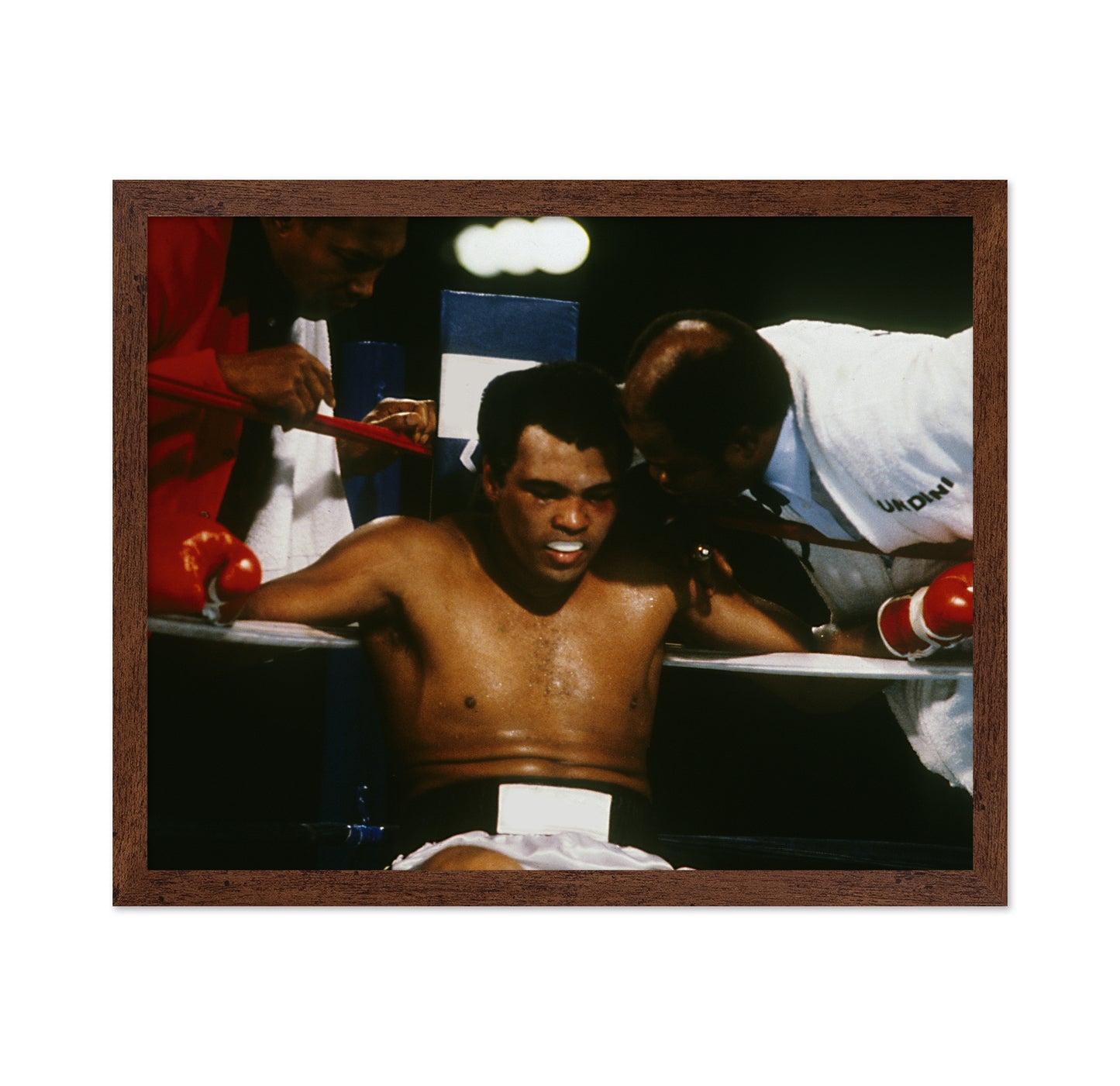 Muhammad Ali Fight Corner 1966