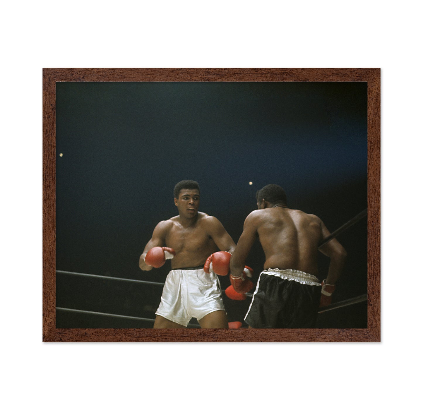 Muhammad Ali Match Action 1966