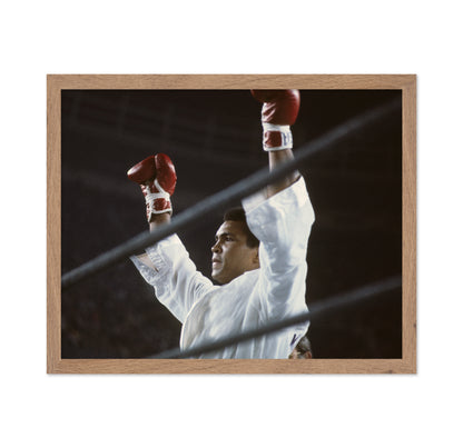 Muhammad Ali Championship 1966