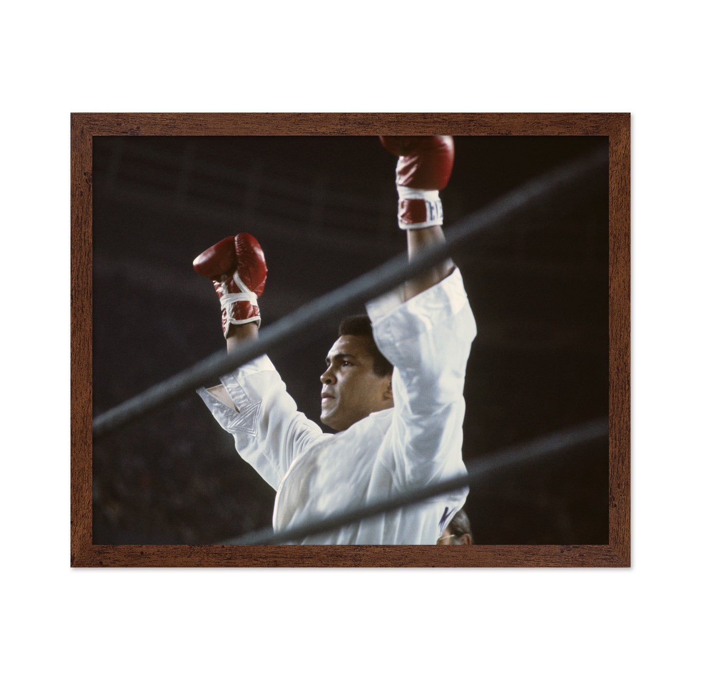 Muhammad Ali Championship 1966