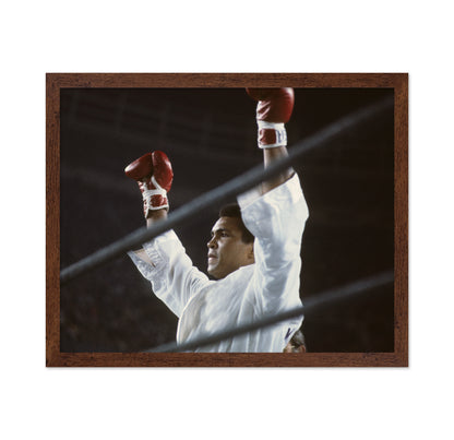 Muhammad Ali Championship 1966