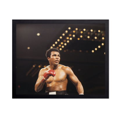 Muhammad Ali Arena Lights 1966