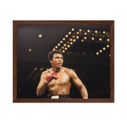 Muhammad Ali Arena Lights 1966