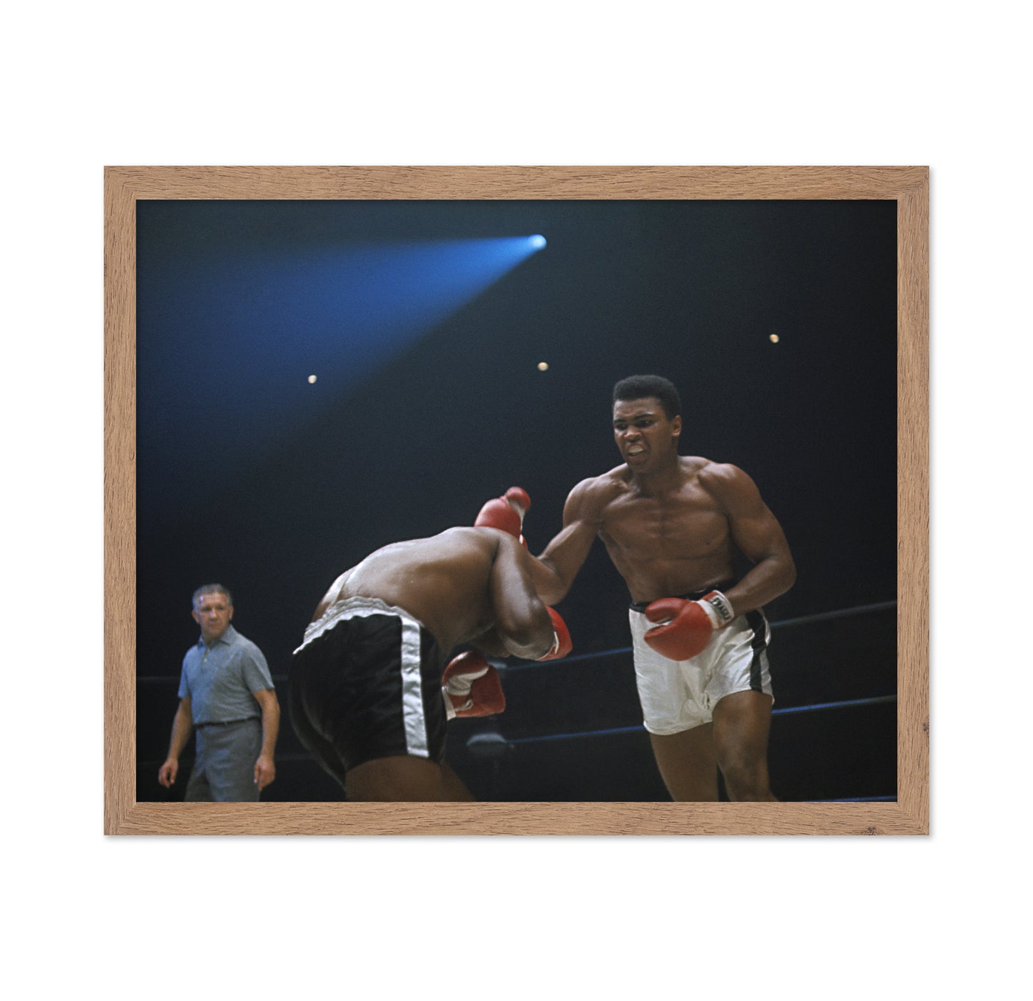 Muhammad Ali Dominating Match 1966