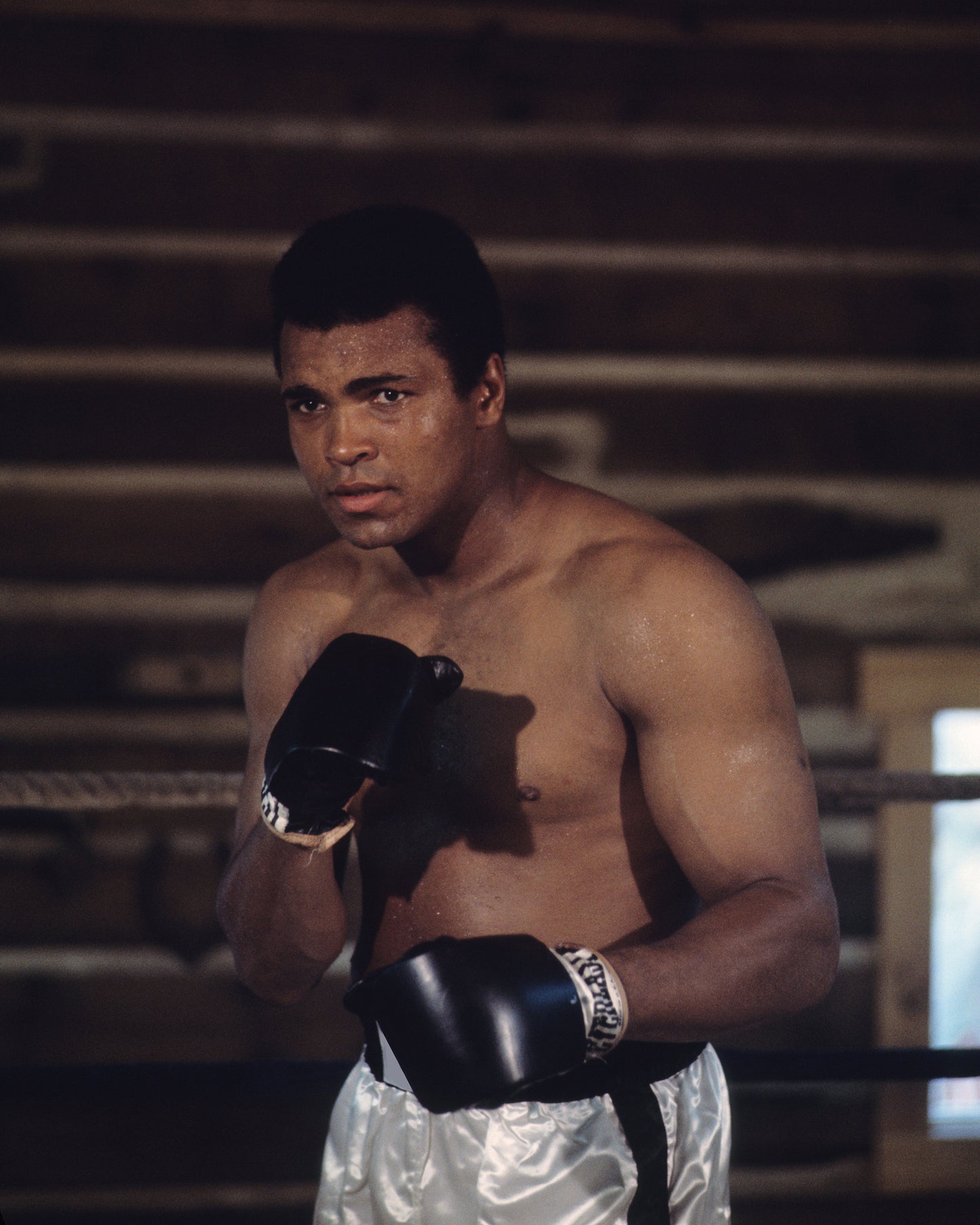 Muhammad Ali 1966 No2