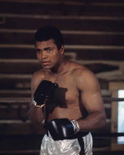 Muhammad Ali 1966 No2