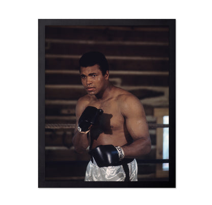 Muhammad Ali 1966 No2