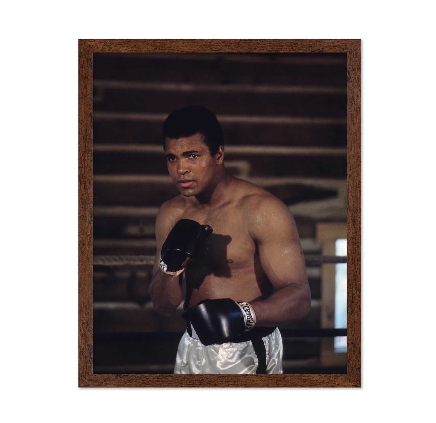 Muhammad Ali 1966 No2