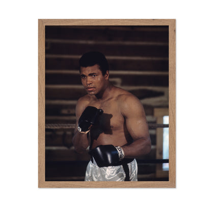 Muhammad Ali 1966 No2