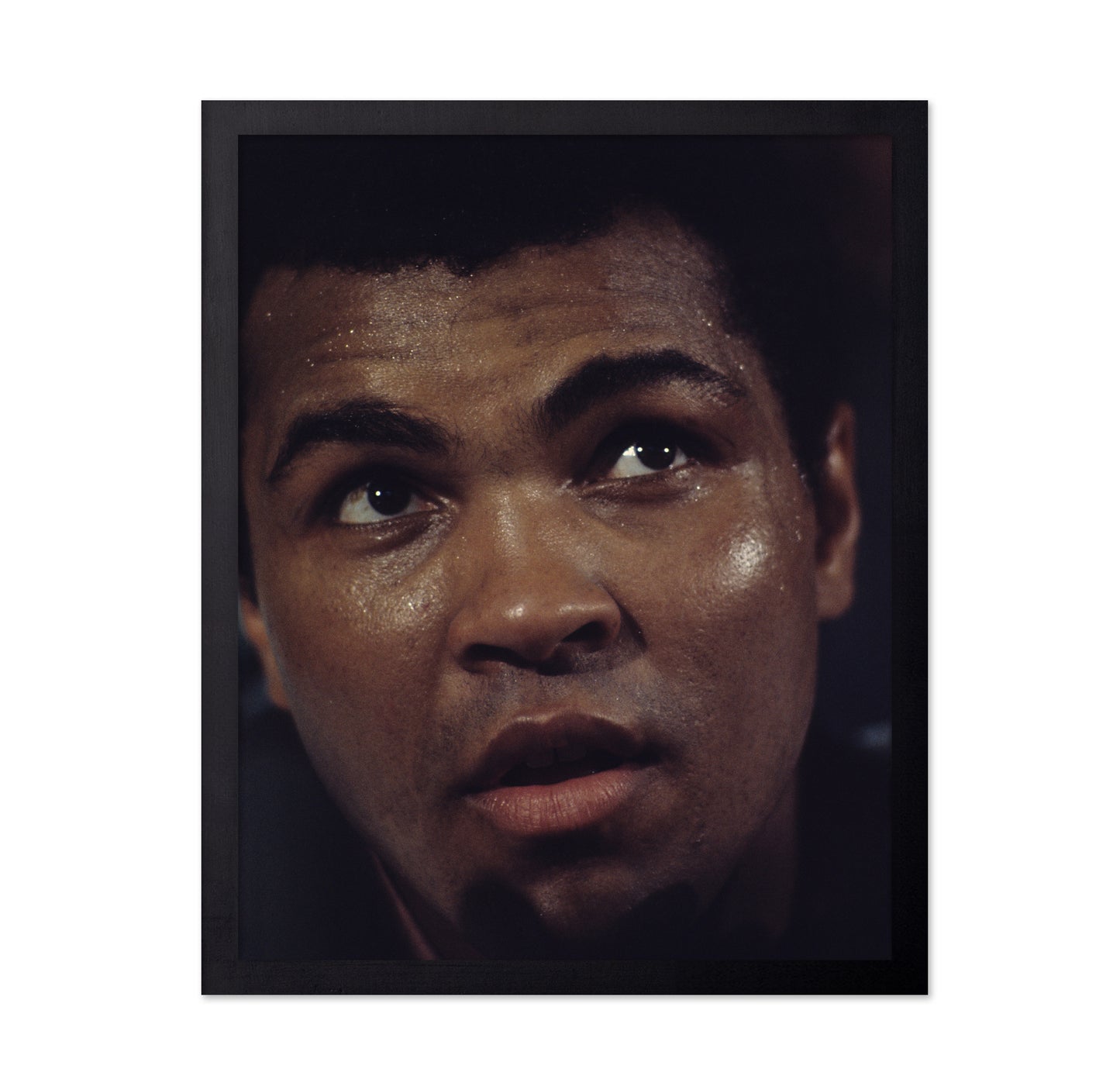 Muhammad Ali 1966 No3