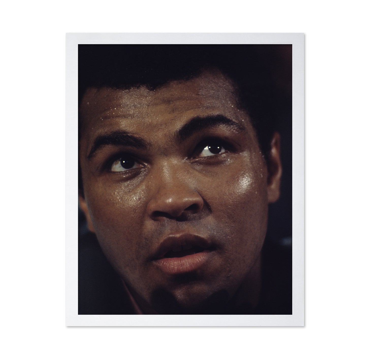 Muhammad Ali 1966 No3